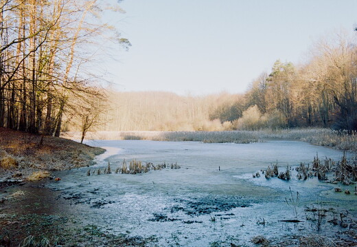 Roll 134 Frame 10