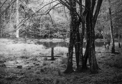 Roll 147 Frame 2