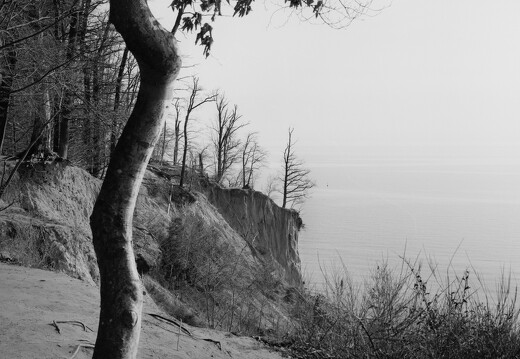 Roll 141 Frame 8
